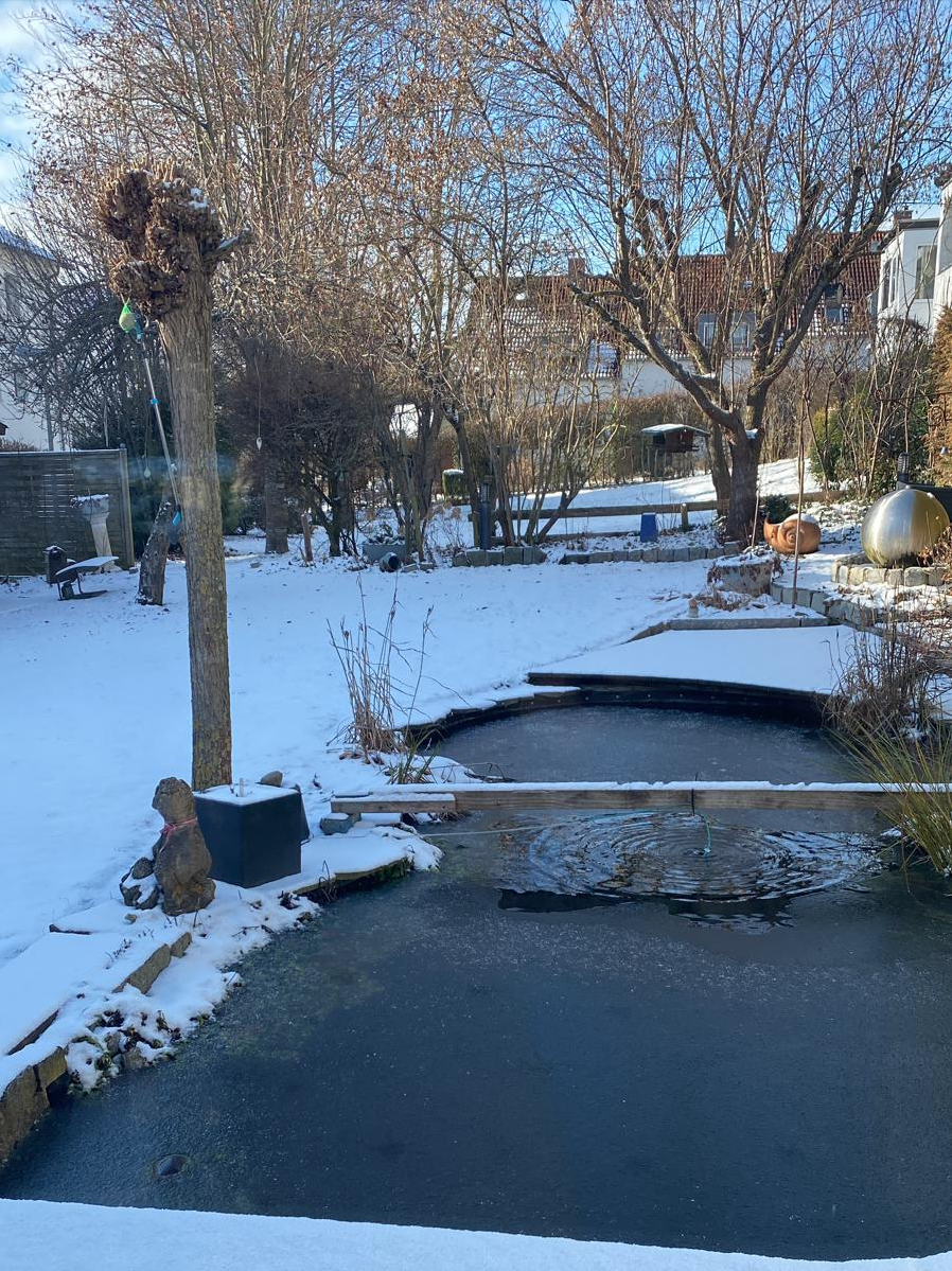 Garten Winter