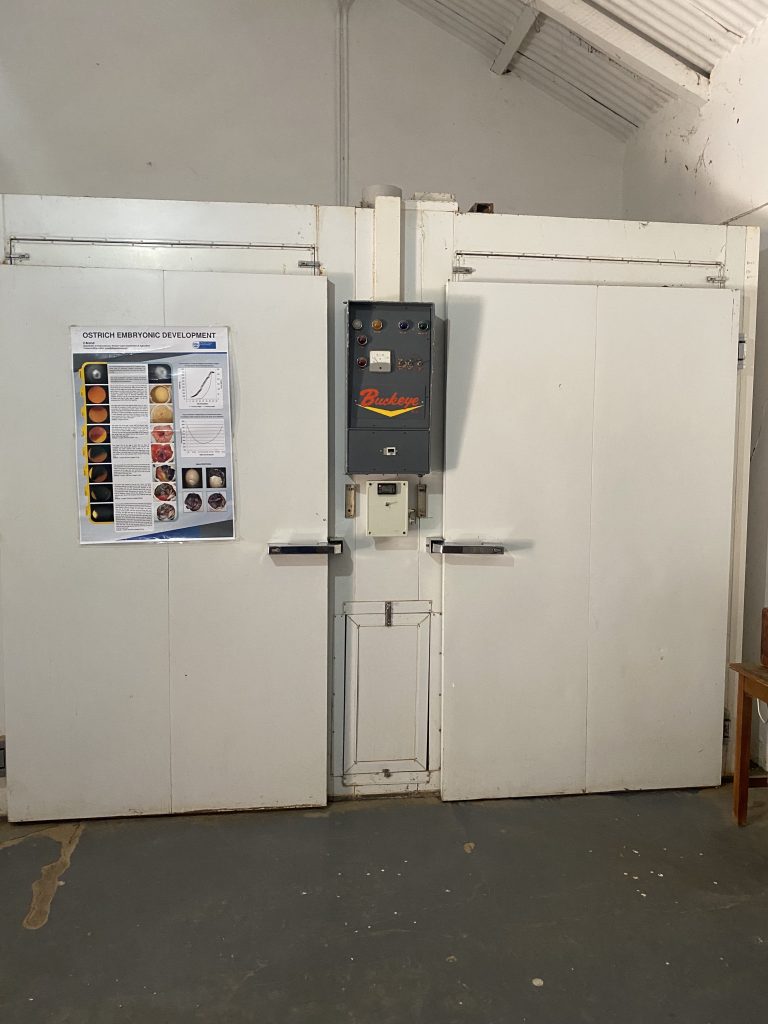 neuer Brutkasten