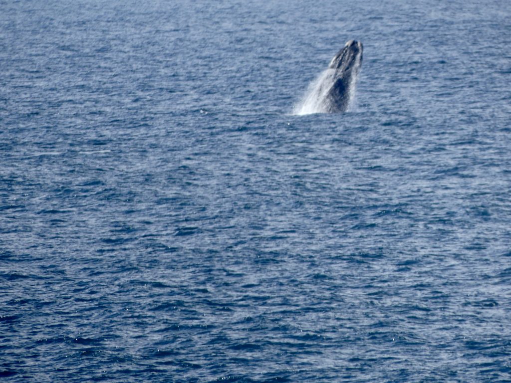 IMG_3199
