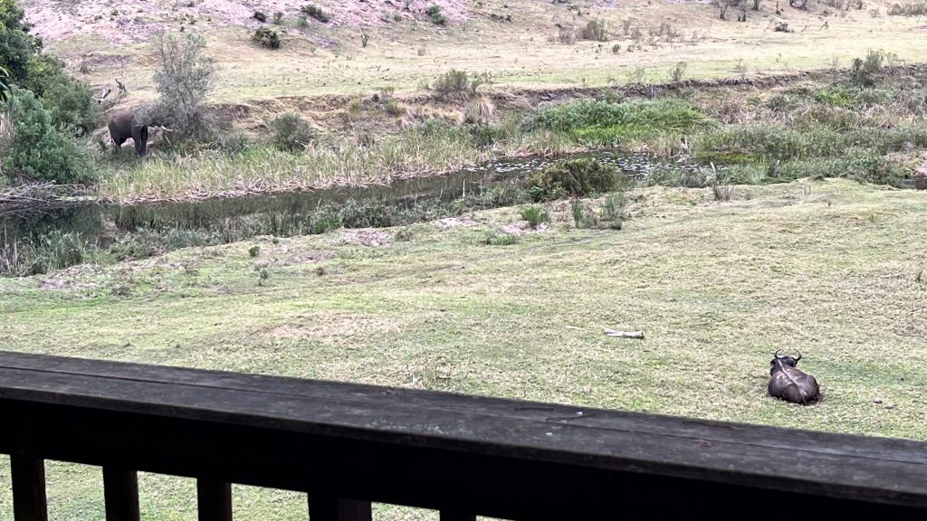 Letzter Blick aus unserer Lodge