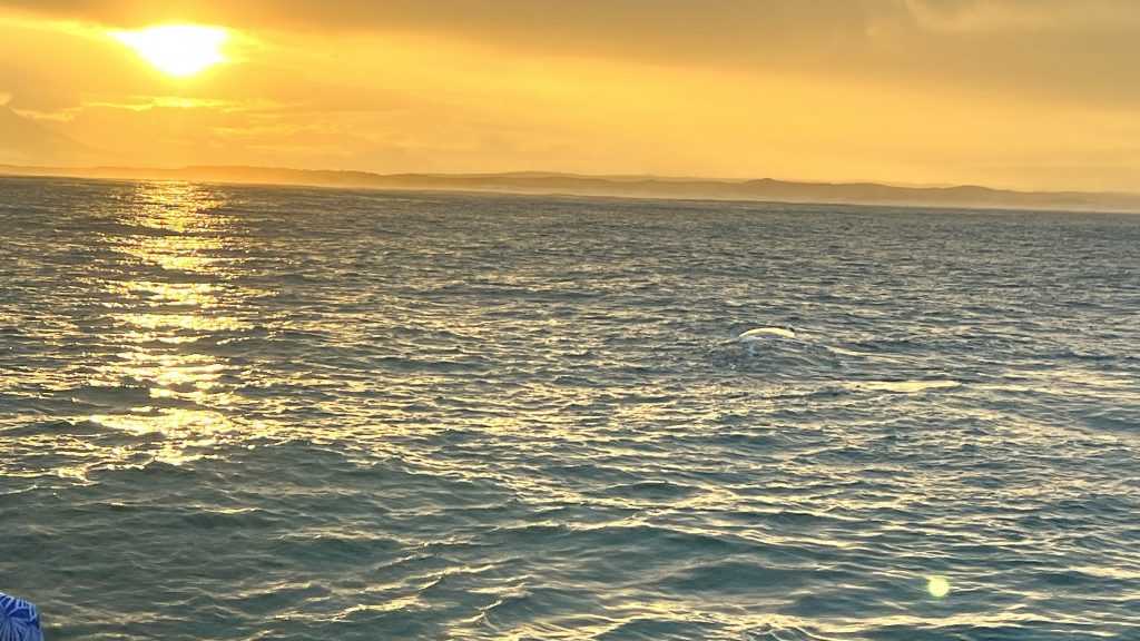 Sonnenaufgang